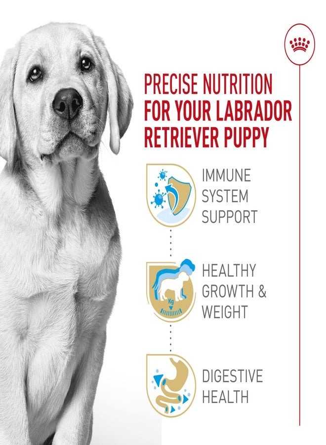 Royal Canin Breed Health Nutrition Labrador Retriever Puppy Dry Dog Food, 2.5 lb Bag - Image 4